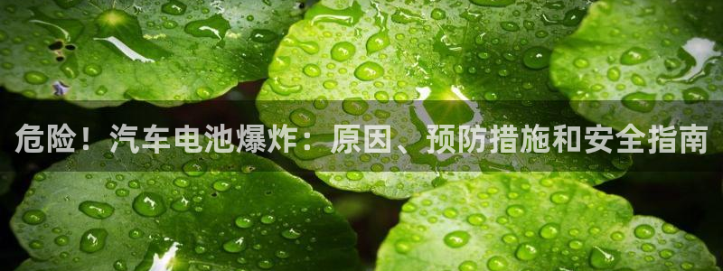 优发国际手机版客户端下载安装