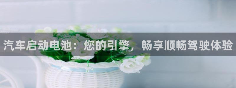 优发国际手机版网站入口