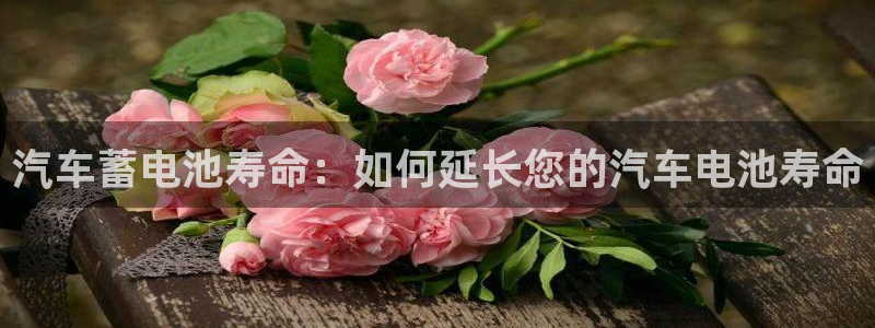 优发国际官网是多少号码