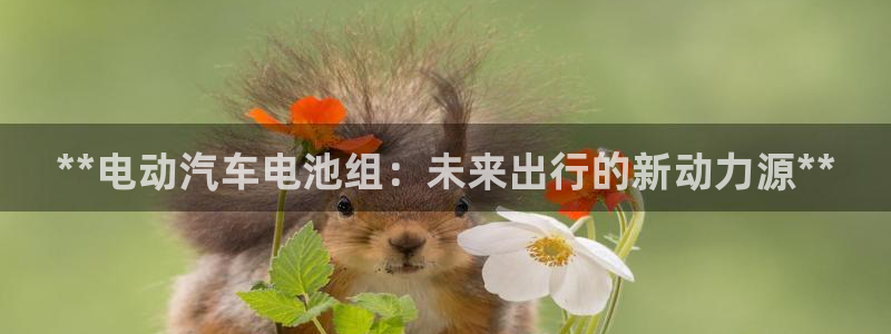 优发国际手机客户端下载安装手机版