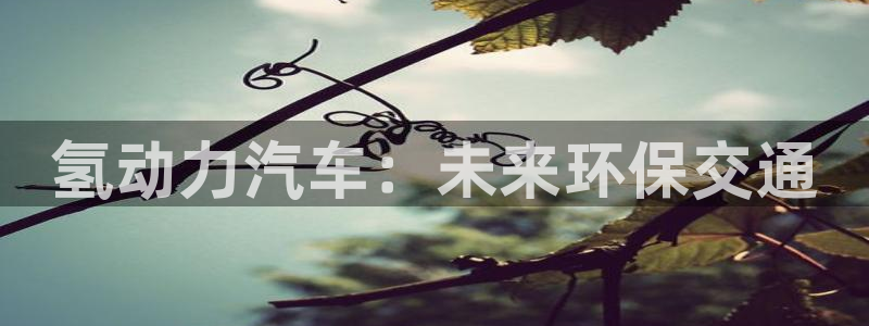 优发国际网站
