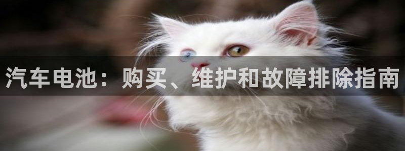 优发国际平台g80