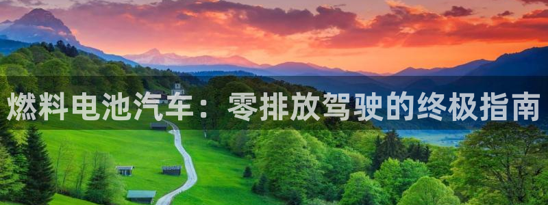 优发国际官方下载app