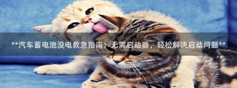优发国际手机版唯一官网下载