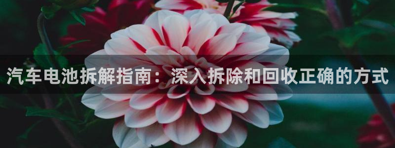 优发国际官方网手机版app