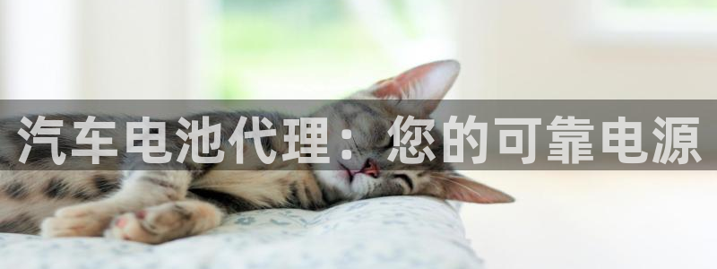 优发游戏官网