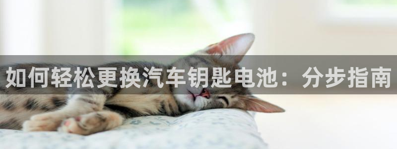优发国际官网值是多少