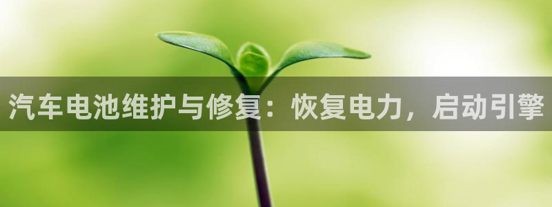 优发国际手机版官网入口