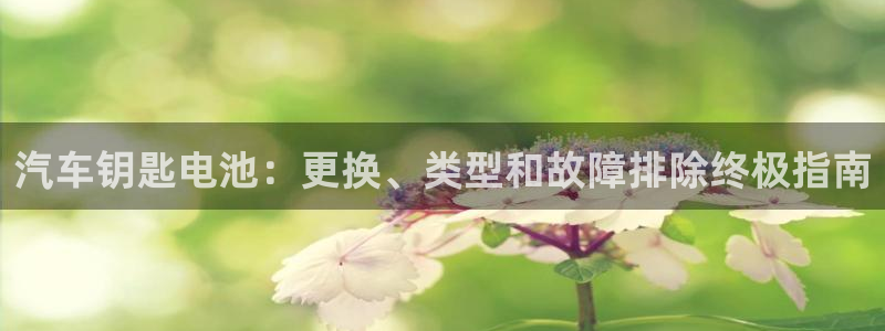 优发国际平台app下载官网