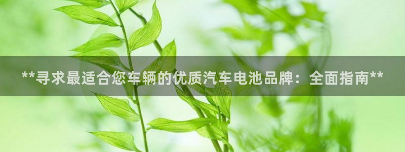 优发国际手机版下载