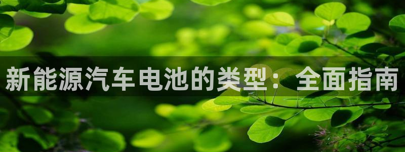 优发国际手机版官网