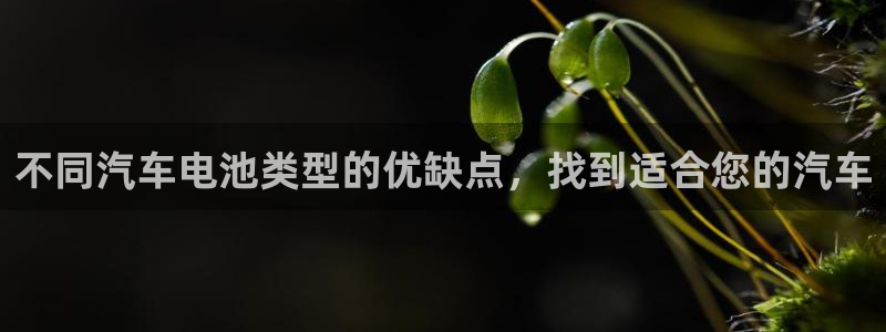 优发国际是大平台吗
