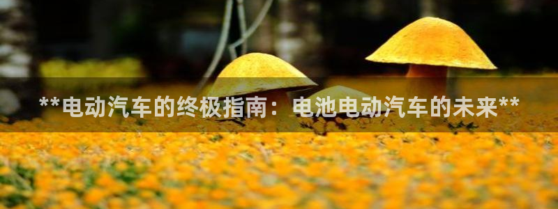 优发国际登录k8