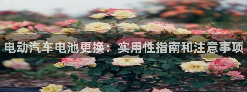 优发国际app官网下载安装手机版