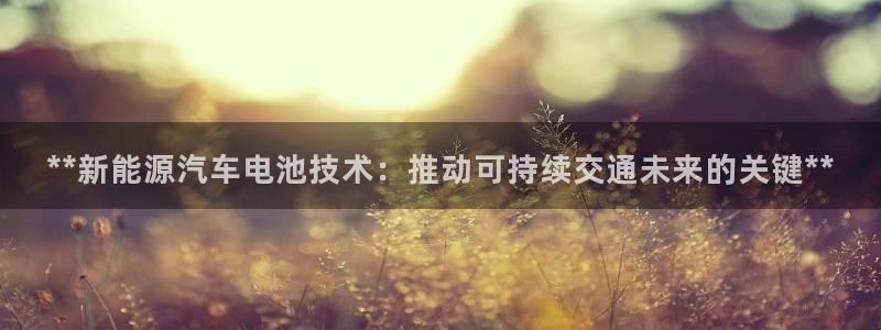 优发国际游戏17岁能玩吗