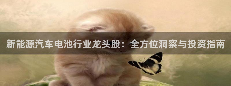 优发国际平台u8是什么公司