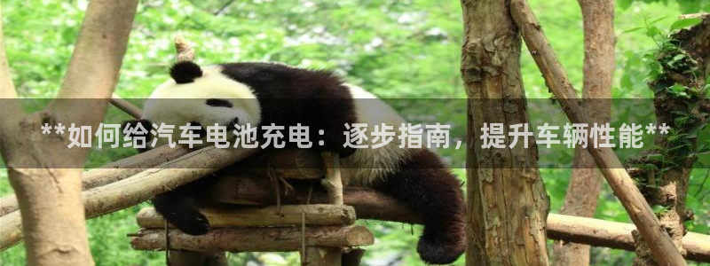 优发国际免费游戏下载