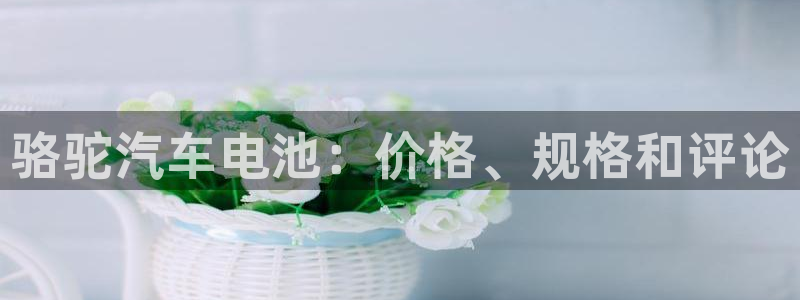 优发国际网站官网