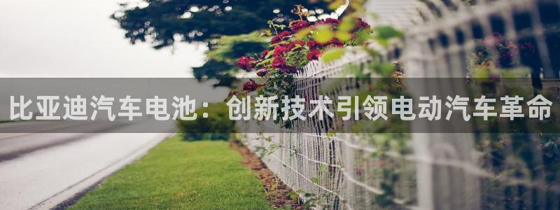 优发国际官网平台