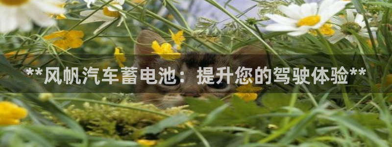优发国际合并到哪里了啊