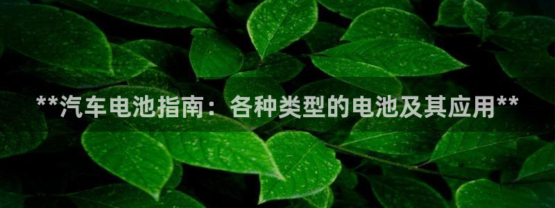优发国际集团股份有限公司招聘