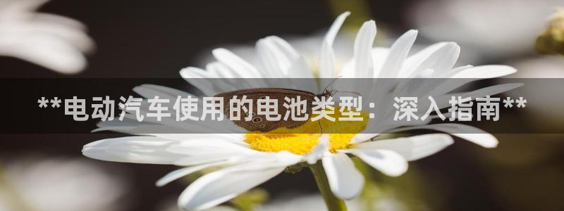 优发国际官方网手机版下载