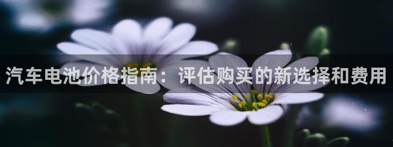 优发国际平台网站
