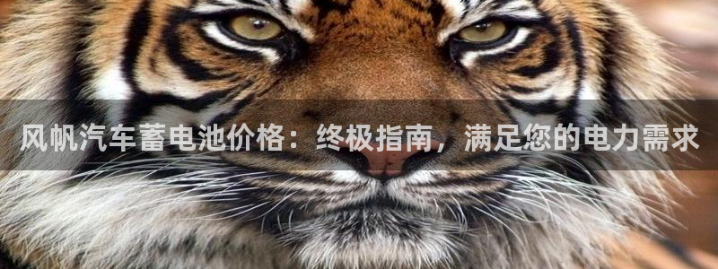 优发国际客服联系方式是什么