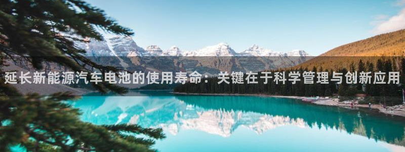 优发国际网官网17q8