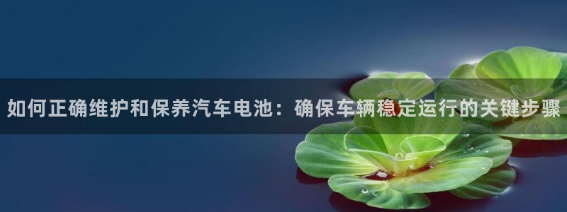 优发国际app登录不了：如何正确维护和保养汽车电池：确保车辆稳定运行的关键步骤