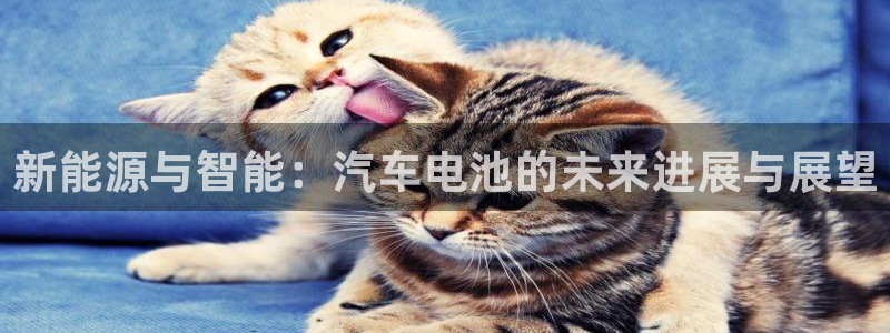 优发国际官网入口app下载安装