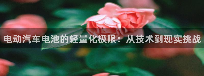 优发国际官网值是多少