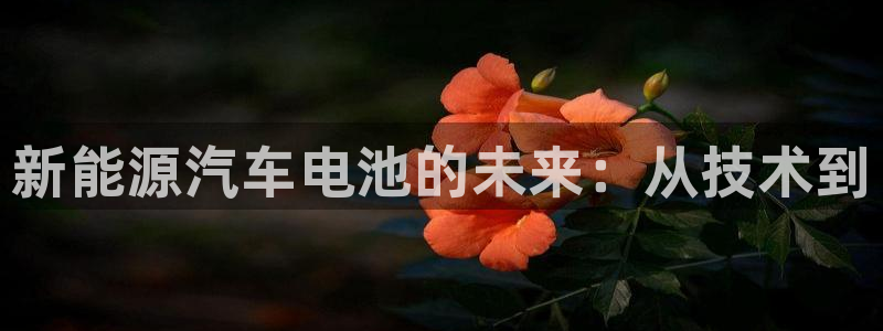 优发国际网官网17k8