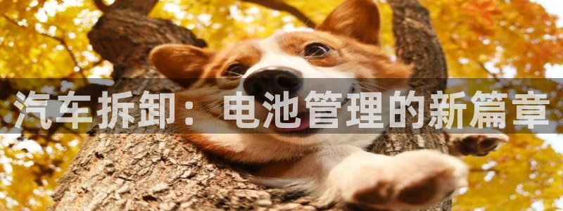 优发国际客服联系方式是什么
