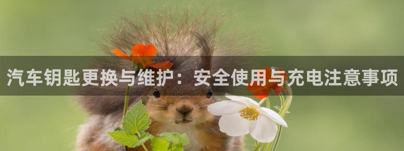 优发国际的官网是正品吗