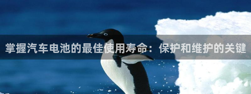 优发国际多少