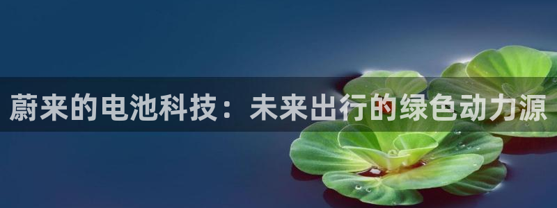 优发国际手机安装登录失败：蔚来的电池科技：未来出行的绿色动力源