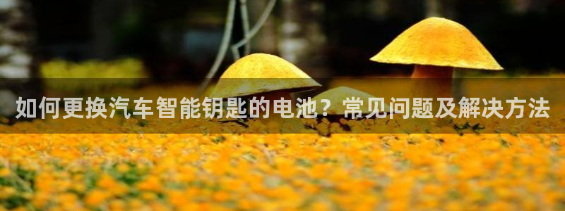 优发娱乐pt官网客户端