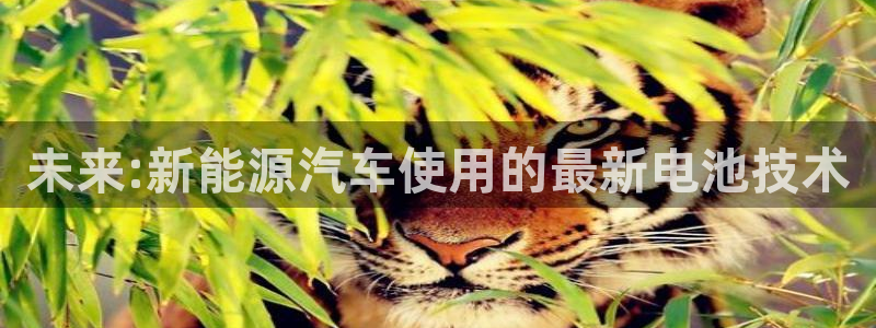 优发国际客服联系方式是什么