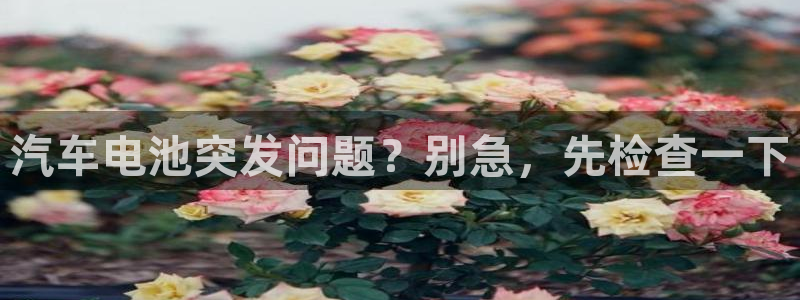 优发国际-触即发