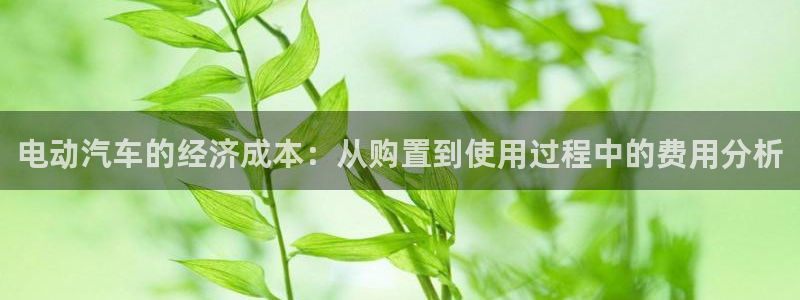 优发国际网官网17q8：电动汽车的经济成本：从购置到使用过程中的费用分析