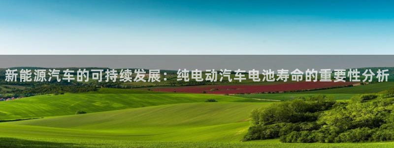 优发国际登录首页官网：新能源汽车的可持续发展：纯电动汽车电池寿命的重要性分析