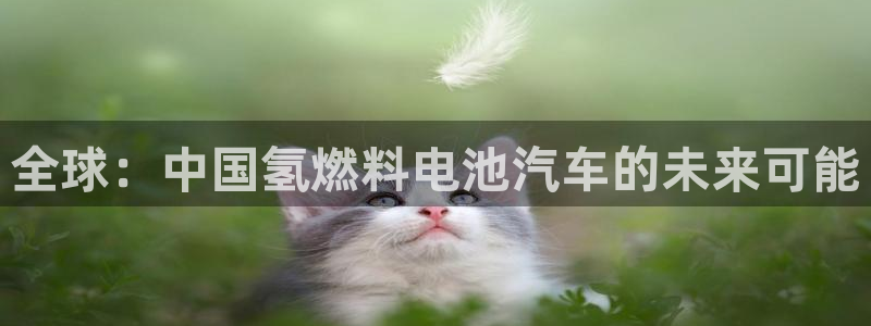 优发国际游戏17岁能玩吗：全球：中国氢燃料电池汽车的未来可能