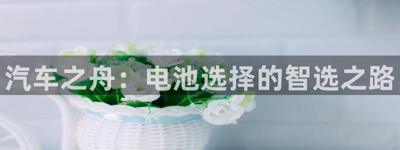 优发国际客服联系方式：汽车之舟：电池选择的智选之路