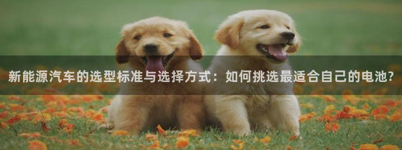 优发国际app官网下载安装：新能源汽车的选型标准与选择方式：如何挑选最适合自己的电池?