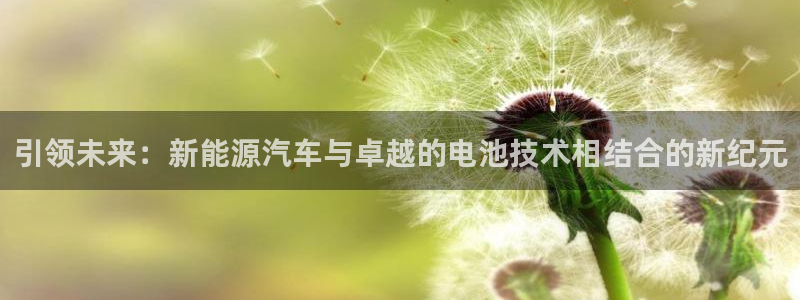优发国际官网qy88：引领未来：新能源汽车与卓越的电池技术相结合的新纪元