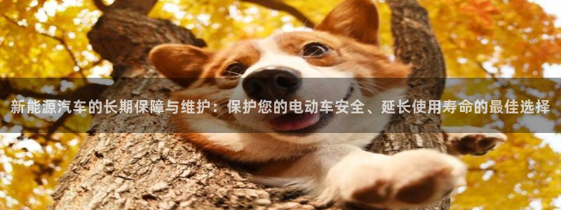 优发国际手机版客户端下载：新能源汽车的长期保障与维护：保护您的电动车安全、延长使用寿命的最佳选择
