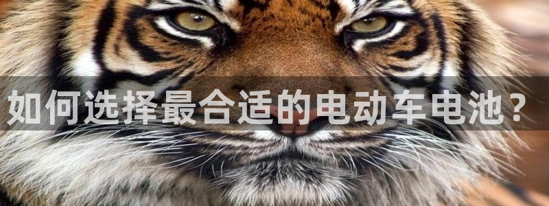 优发国际手机登录下载安装