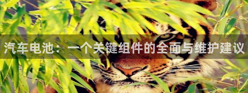 优发国际免费游戏下载