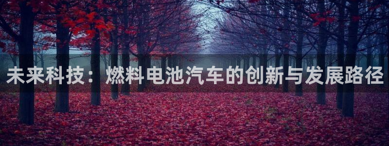 优发国际手机客户端怎么下载